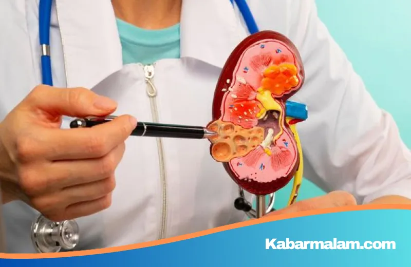 Waspada Lelah Berlebih: Mengapa Gejala Ini Bisa Jadi Sinyal Penurunan Fungsi Ginjal?