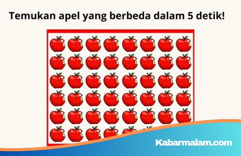 8 Tantangan Visual Paling Menipu: Seberapa Jeli Mata Anda Menemukan Objek Tersembunyi?