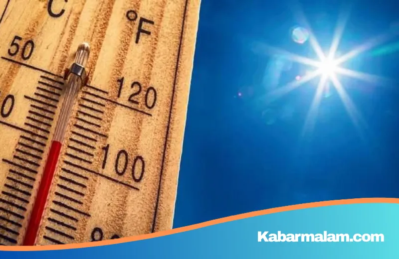 Ancaman El Nino Ekstrem: Ilmuwan Bunyikan 'Sirene Bahaya' Terkait Krisis Pangan dan Iklim Global