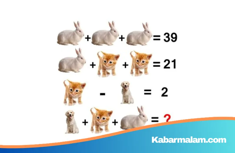 Buktikan Kecerdasan Anda: Hadapi 7 Tantangan Matematika yang Menguji Logika dan Konsentrasi
