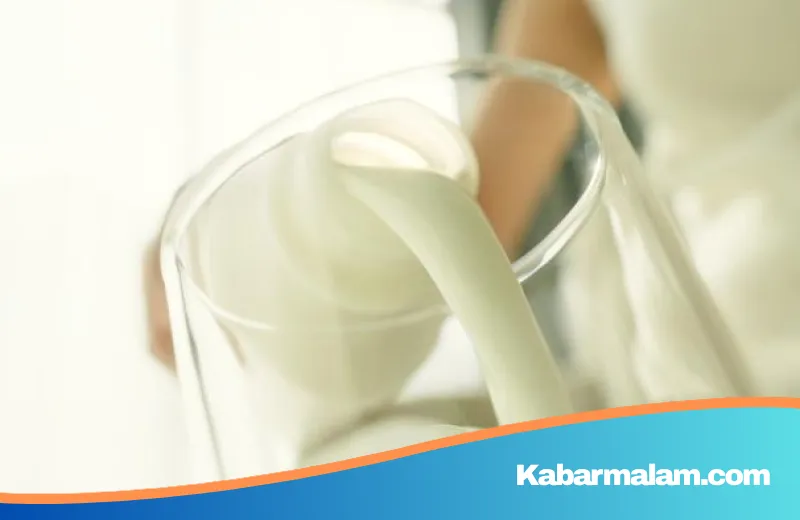 Eksplorasi Dunia Olahan Susu: Memahami Perbedaan Nutrisi dan Proses di Balik Setiap Tetesnya