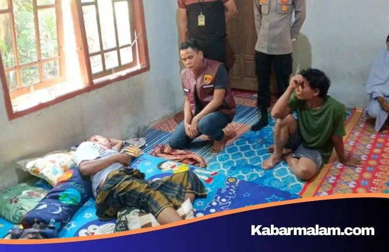 Horor di Kebun: Petani di Musi Rawas Alami Luka Robek Serius Usai Diterkam Beruang Liar