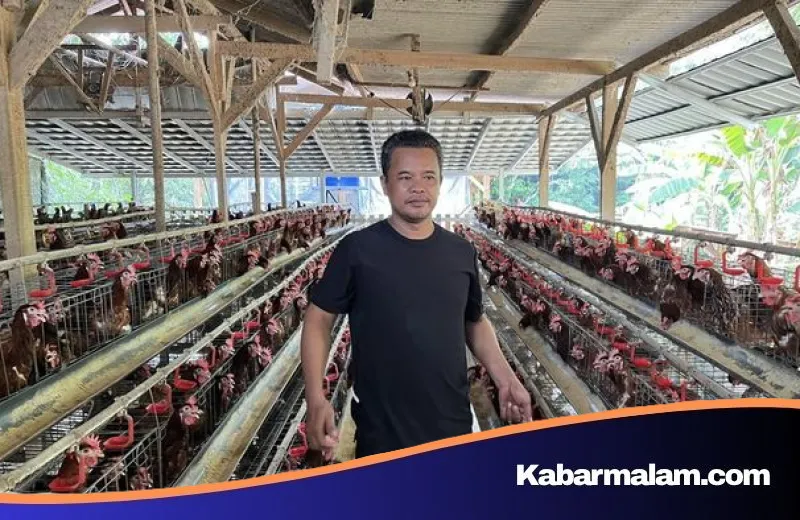 Inspirasi Nirin Samsudin: Dari Modal Nol Hingga Menjadi Penggerak Ekonomi Ayam Petelur di Bekasi