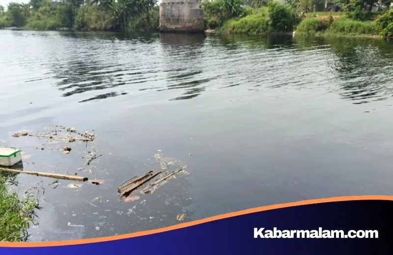 Investigasi Mendalam Sungai Ciujung: Pemprov Banten Bedah Penyebab Air Hitam dan Bau Menyengat