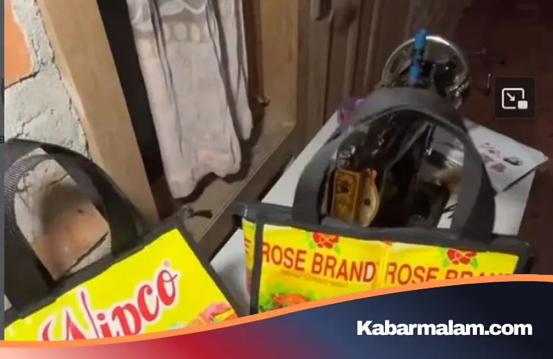 Kisah Inspiratif dari Jambi: Eka Sulistia Sulap Limbah Plastik Minyak Goreng Jadi Tas Estetik Bernilai Cuan