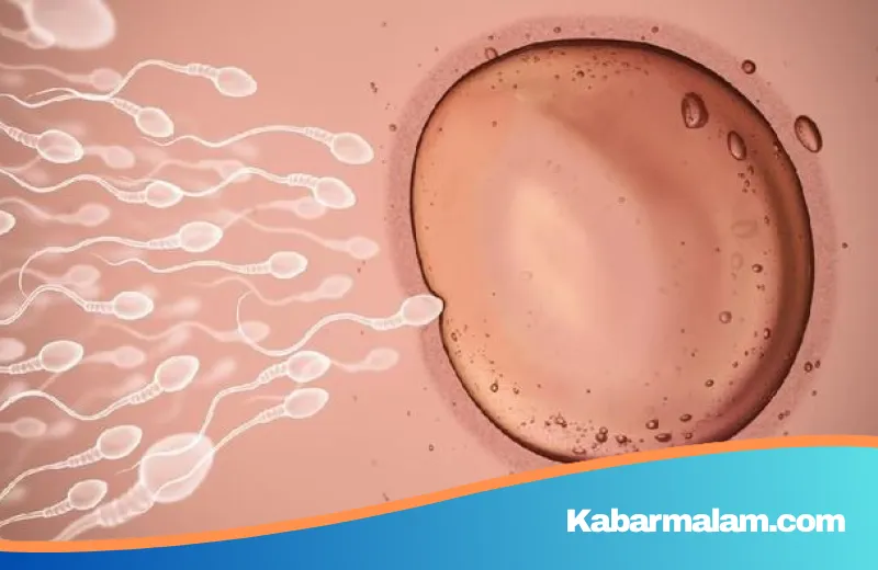 Kontroversi 'Joe Donor': Pria Pemilik 'Pabrik Sperma' Ilegal yang Mengaku Miliki 180 Anak