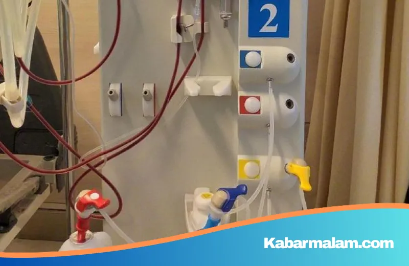 Krisis Dialisis: KPCDI Soroti Puluhan Ribu Pasien Gagal Ginjal yang Wafat Akibat Antrean Cuci Darah