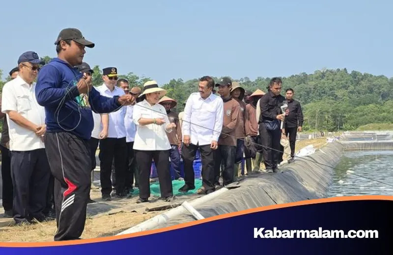 Melihat Sisi Lain Nusakambangan: Titiek Soeharto Puji Kemandirian Napi dalam Budidaya Udang Vaname