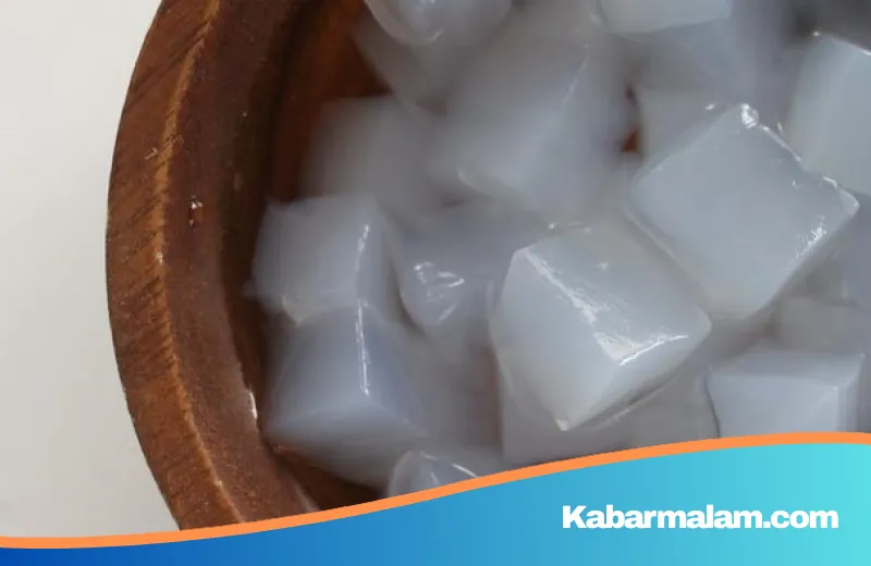 Membongkar Mitos Nata de Coco: Benarkah Pakai Pupuk dan Bagaimana Status Halalnya?