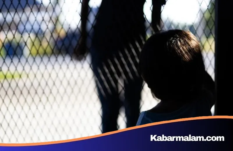 Mengapa Warga Swedia Sangat Percaya Orang Asing? Menguak Rahasia Kepercayaan Sosial Global