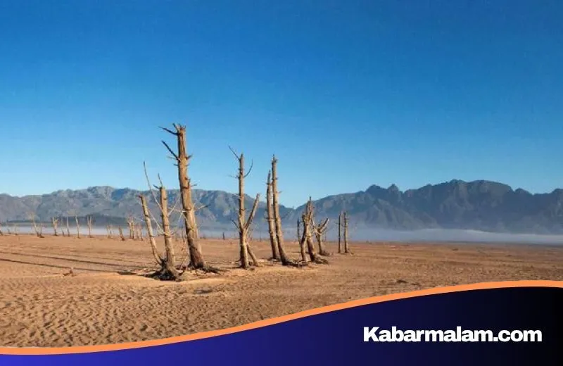 Mengawal Kelestarian Lahan Kering: Menyelami Makna Hari Dunia Memerangi Penggurusan dan Kekeringan 2026