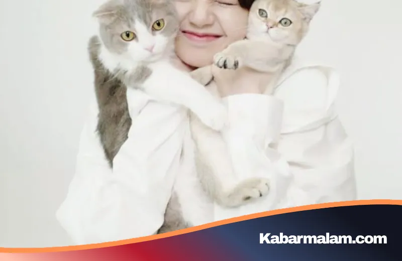 Mengungkap 6 Kepribadian Unik Wanita Pencinta Kucing: Antara Kemandirian dan Kedalaman Empati
