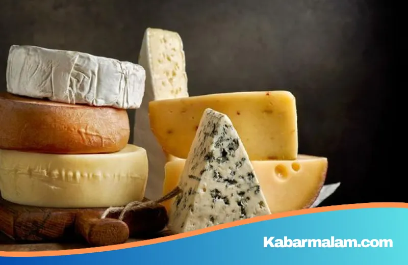 Mozzarella vs Cheddar vs Parmesan: Mana Pilihan Keju Paling Sehat untuk Anda?