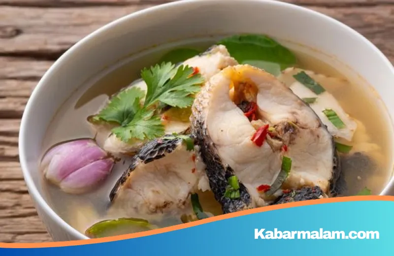 Rahasia Ikan Gabus: Superfood Lokal dengan Kandungan Protein Melampaui Rata-rata Menurut Pakar UGM