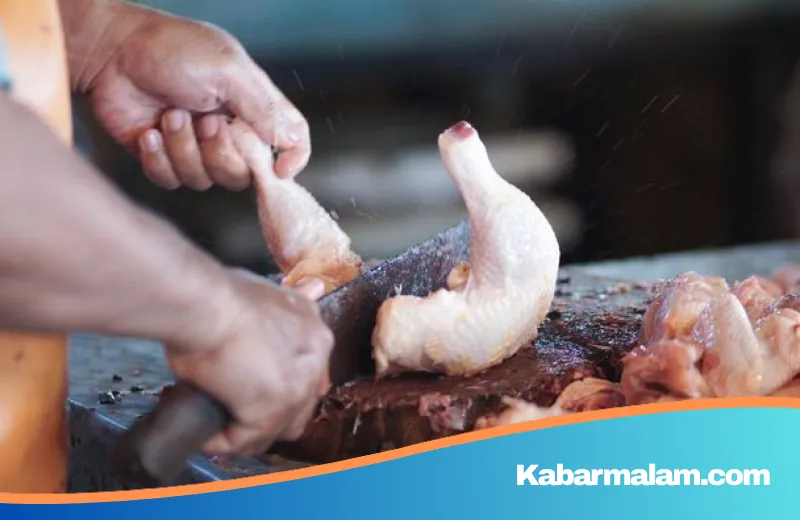 Sentilan 'Dosa' Prabowo Soal Porsi Ayam: Menakar Kecukupan Nutrisi dalam Potongan 14 untuk Anak Bangsa