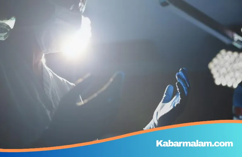 Terobosan Medis: Ilmuwan China Sukses Uji Coba Transplantasi Ginjal dan Hati Babi ke Manusia