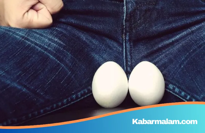 Waspada Benjolan Testis: Panduan Urolog untuk Deteksi Dini Kanker dan Kesehatan Pria