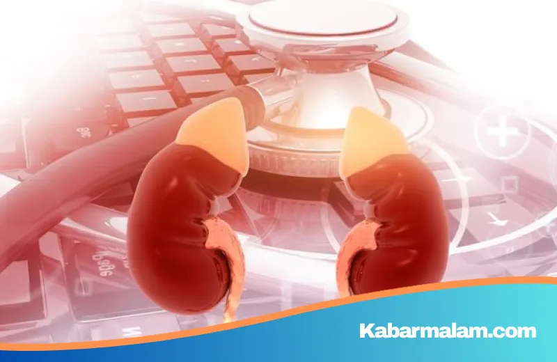 Waspada 'Silent Killer'! 5 Sinyal Tubuh Saat Ginjal Mulai Bermasalah yang Sering Diabaikan