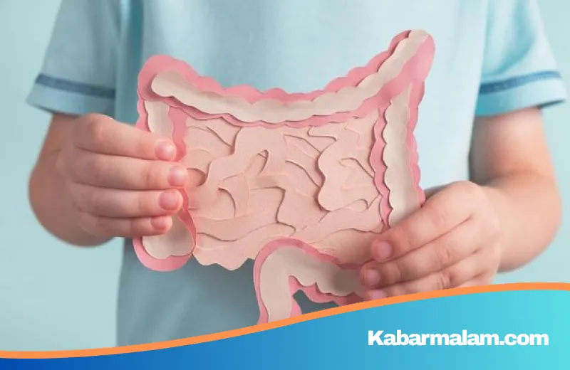 Hati-hati! 5 Jenis Minuman Ini Diam-diam Bisa Mengikis Kesehatan Dinding Usus Anda