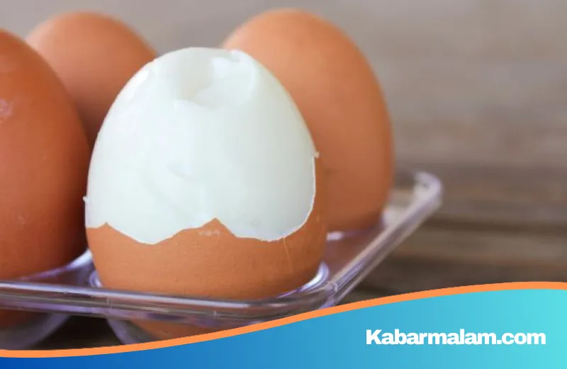 Hati-hati Bakteri! Ini Batas Waktu Maksimal Menyimpan Telur Rebus di Kulkas Agar Tetap Sehat