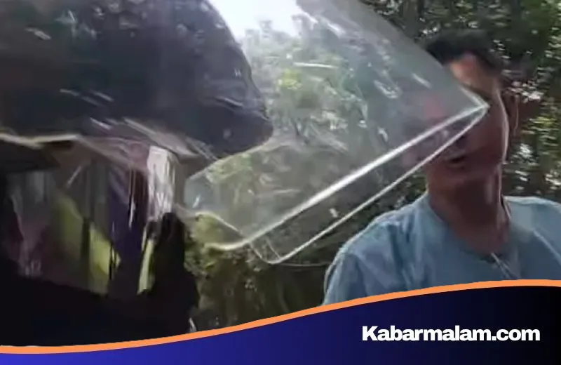 Identitas 'Bang Jago' Penunggang Ninja yang Pukul Pemotor di Jagakarsa Terungkap, Polisi: Tetap Kami Proses!