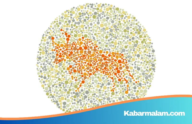 Uji Ketajaman Mata: Sanggupkah Anda Menemukan 7 Hewan Tersembunyi di Balik Pola Warna Ini?