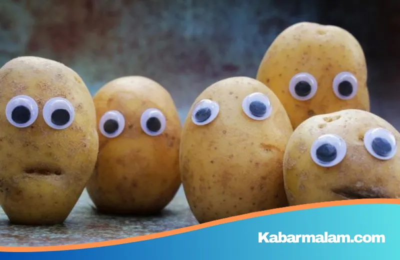 Viral Fenomena 'Carb Face': Benarkah Karbohidrat Jadi Biang Keladi Wajah Sembap?